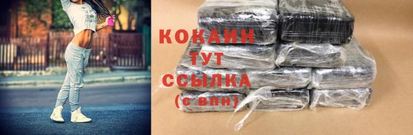 спайс Арсеньев