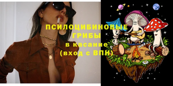 спайс Арсеньев