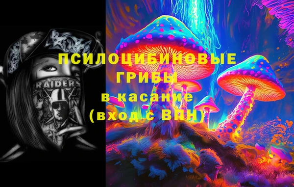 спайс Арсеньев