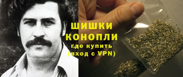 PSILOCYBIN Снежногорск