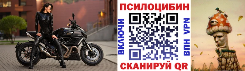 что такое наркотик  Боровск  Галлюциногенные грибы мицелий 